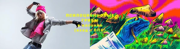 наркотики Новодвинск