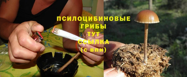 эйфоретик Новозыбков